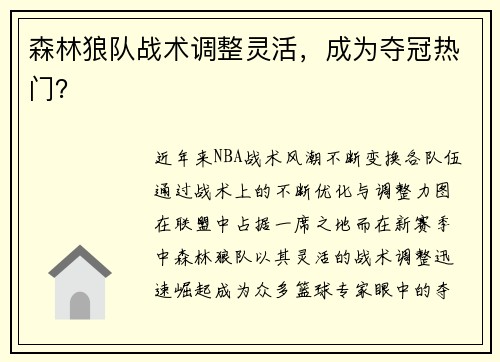 森林狼队战术调整灵活，成为夺冠热门？